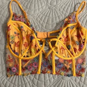 For Love and Lemons bra and thong